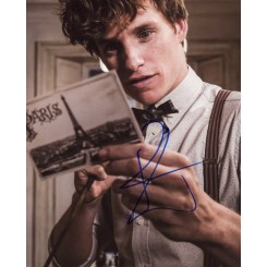 REDMAYNE Eddie