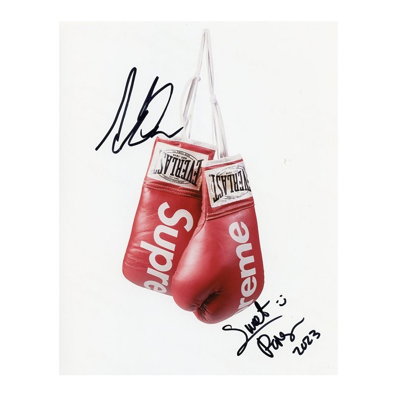 SUPREME EVERLAST BOXING GLOVES RED