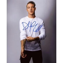 DIPLO