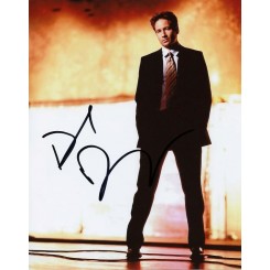 DUCHOVNY David