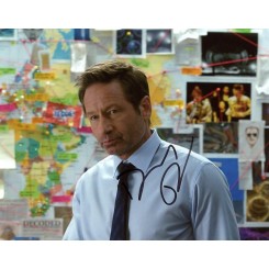 DUCHOVNY David