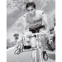 MERCKX Eddy