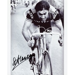 MERCKX Eddy