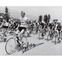 MERCKX Eddy