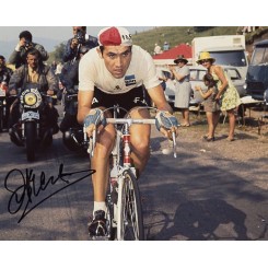 MERCKX Eddy