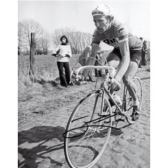 ZOETEMELK Joop