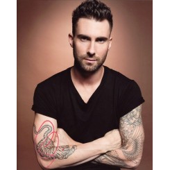 LEVINE Adam (Maroon 5)