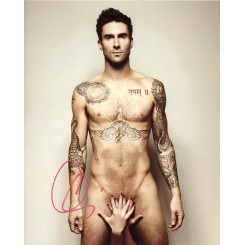 LEVINE Adam (Maroon 5)