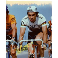 MERCKX Eddy