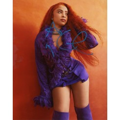 SPICE Ice