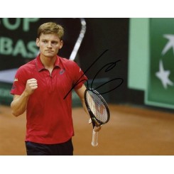 GOFFIN David