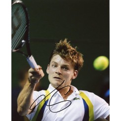 GOFFIN David