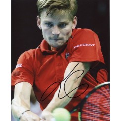 GOFFIN David