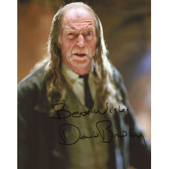 BRADLEY David