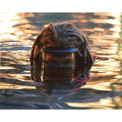 CHAMPION Jack (Avatar)