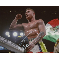 ALVAREZ Saul Canelo