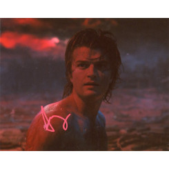 KEERY Joe (Stranger Things)