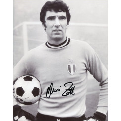 ZOFF Dino