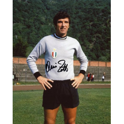 ZOFF Dino