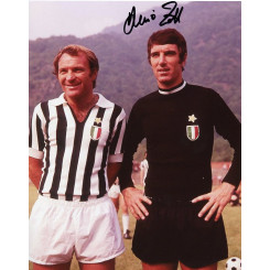 ZOFF Dino