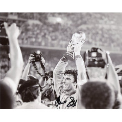 ZOFF Dino