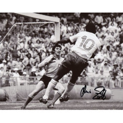 ZOFF Dino
