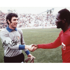 ZOFF Dino