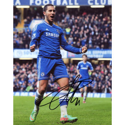 HAZARD Eden