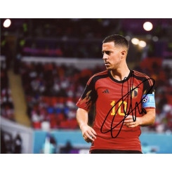 HAZARD Eden