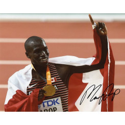 AROP Marco