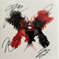 Kings of Leon