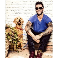 LEVINE Adam (Maroon 5)