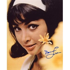 LOREN Donna