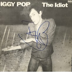 POP Iggy