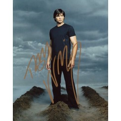 WELLING Tom (Smallville)